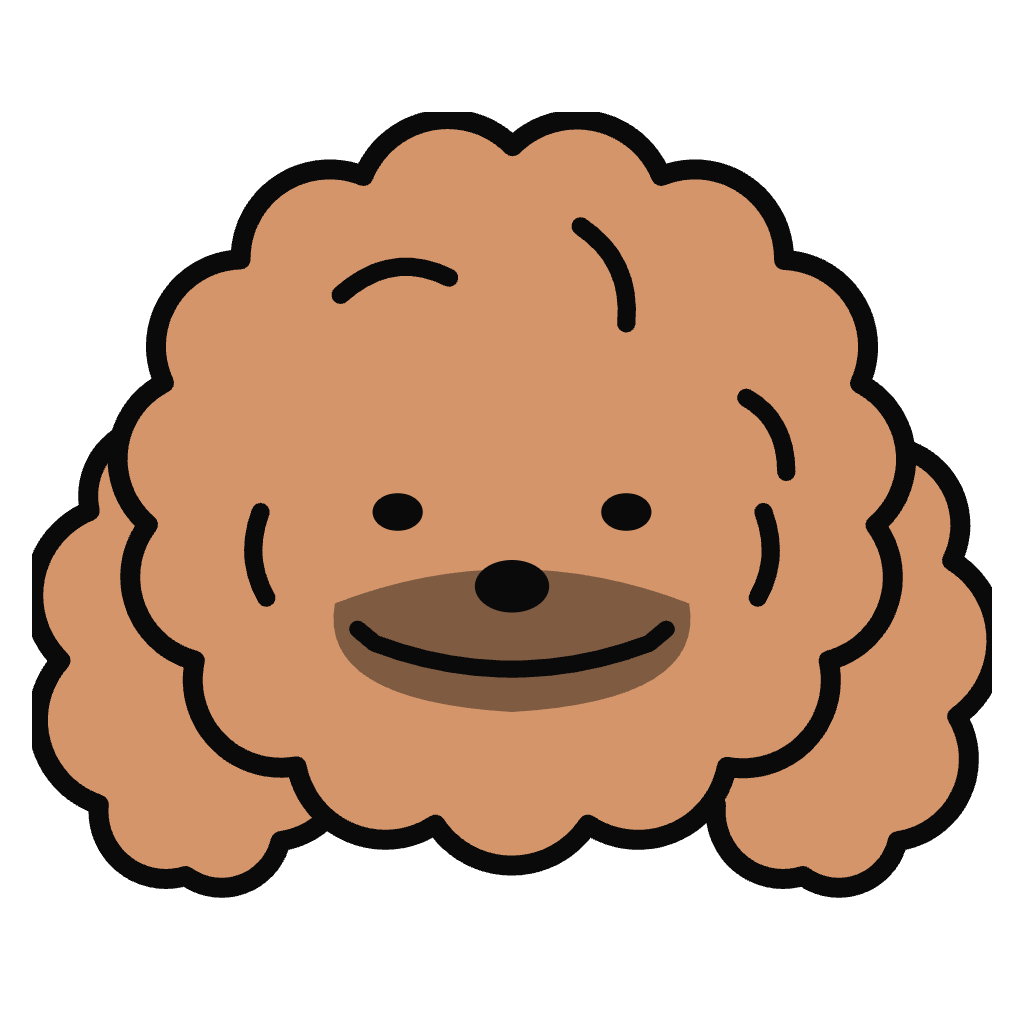 nono the poodle
